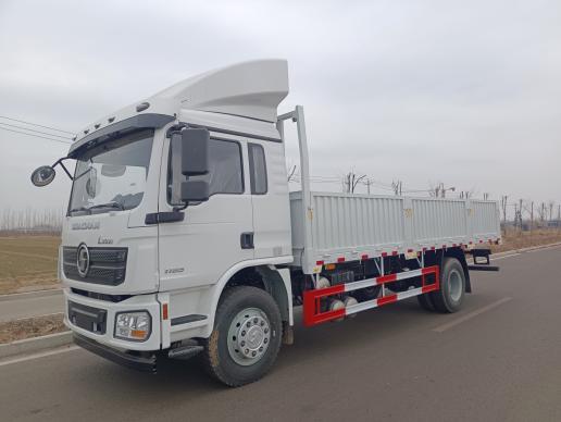 L3000 4X2 Cargo Truck