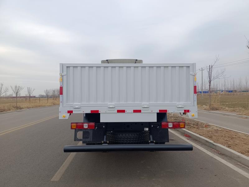 L3000 4X2 Cargo Truck