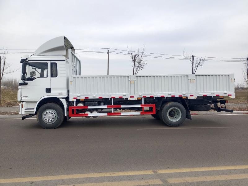 L3000 4X2 Cargo Truck