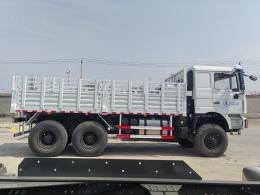 F3000 6X4 Cargo Truck | 微信图片_20250331091751