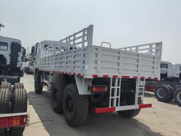 F3000 6X4 Cargo Truck | 微信图片_20250331091814