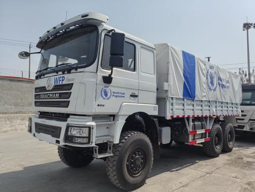 F3000 6X4 Cargo Truck