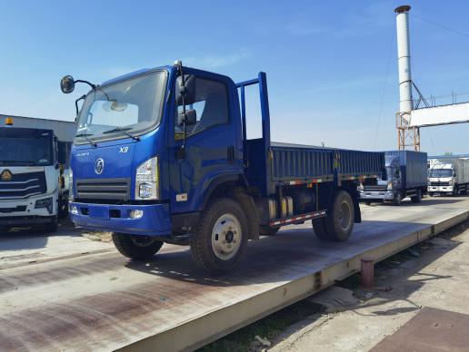 SHACMAN 4x2 Cargo Light Truck