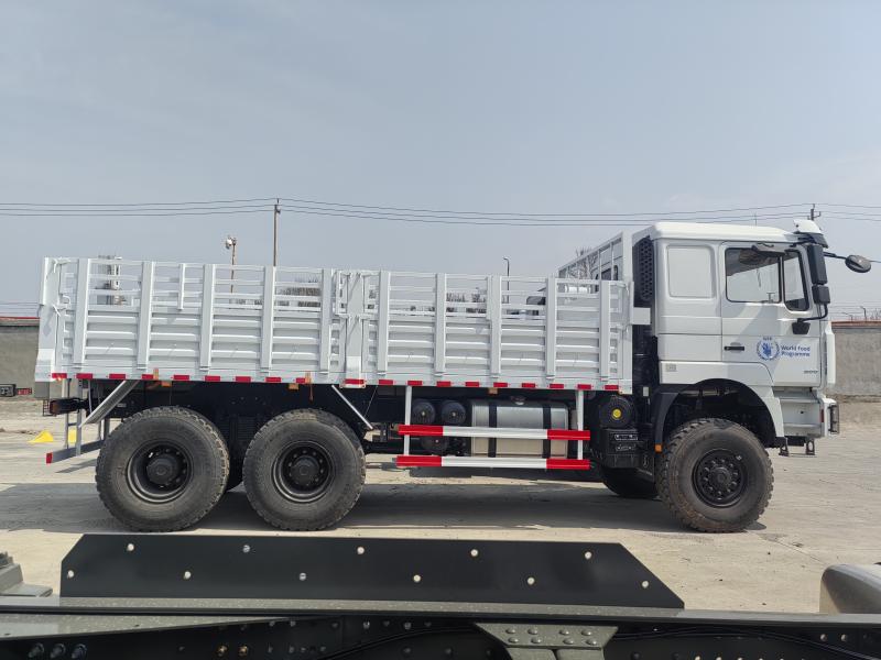 F3000 6X4 Cargo Truck