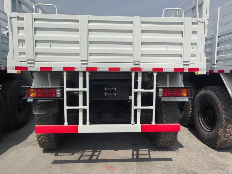 F3000 6X4 Cargo Truck