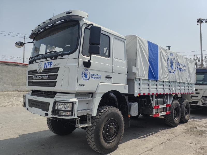 F3000 6X4 Cargo Truck