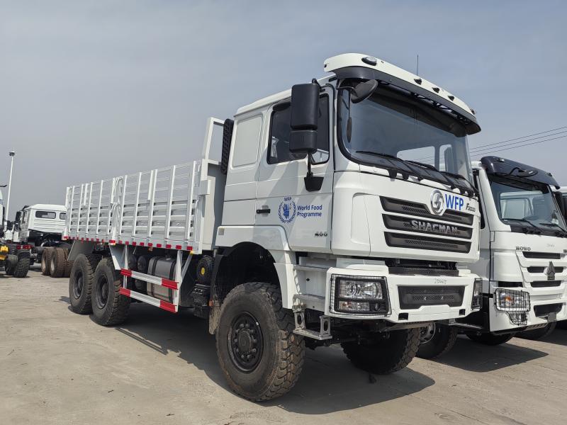 F3000 6X4 Cargo Truck