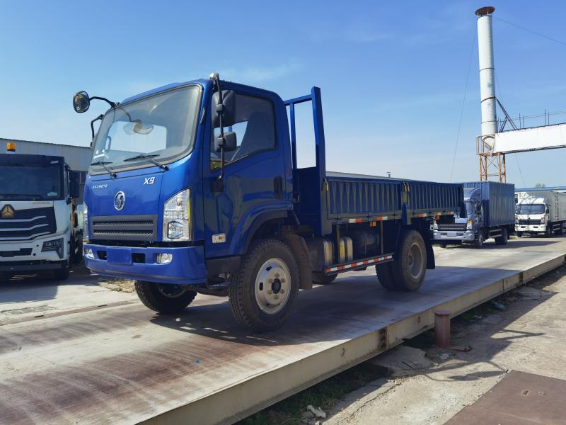 SHACMAN 4x2 Cargo Light Truck
